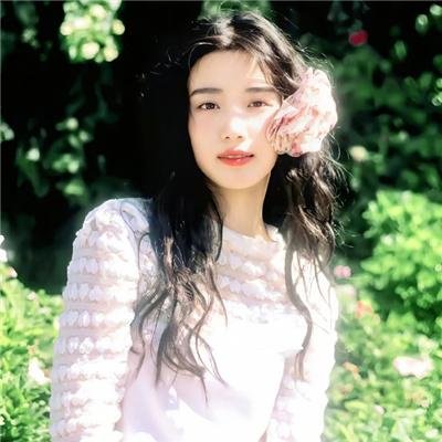 贵族大盗
